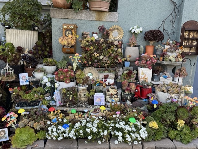 Main display table pairing artfully arranged succulents in upcycled containers