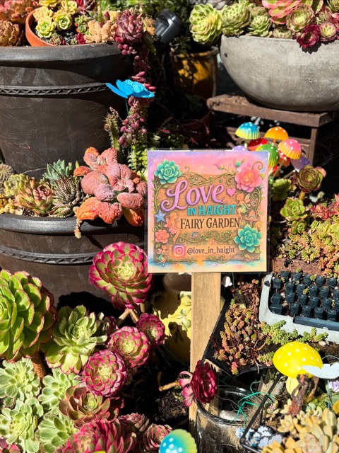 Love in Haight Fairy Garden sign in a whimsical setting