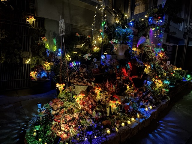 The fairy garden’s mystical transformation after dark