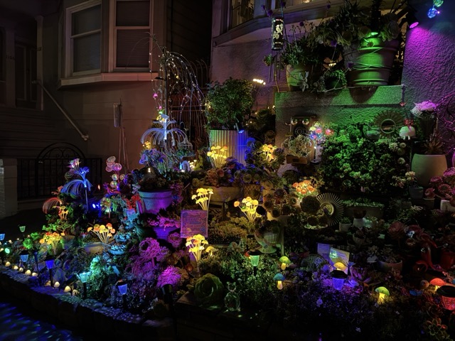 Colorfully lit mushrooms create a magical nighttime path